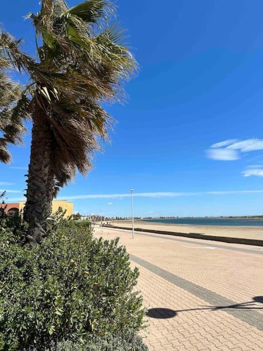 Studio Cosy A Deux Pas De La Plage ! Gruissan Extérieur photo